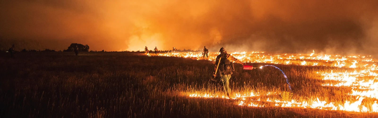 wildland firefighters extuingishing a fire