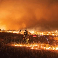 Firefighter at work