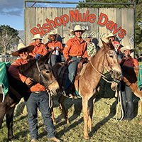 Mule Packing team