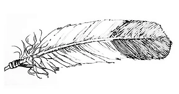 choinumni feather