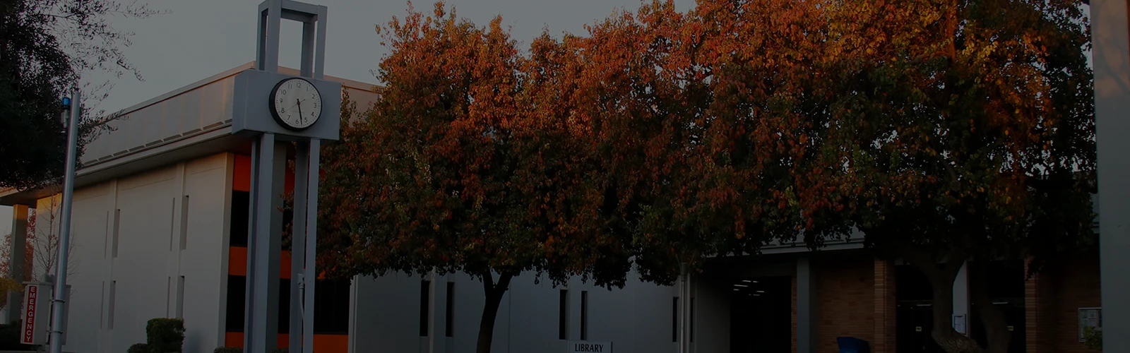 RC Library in fall