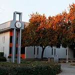 library in fall