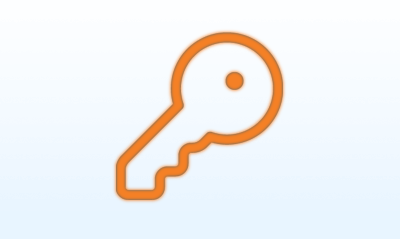 Password icon